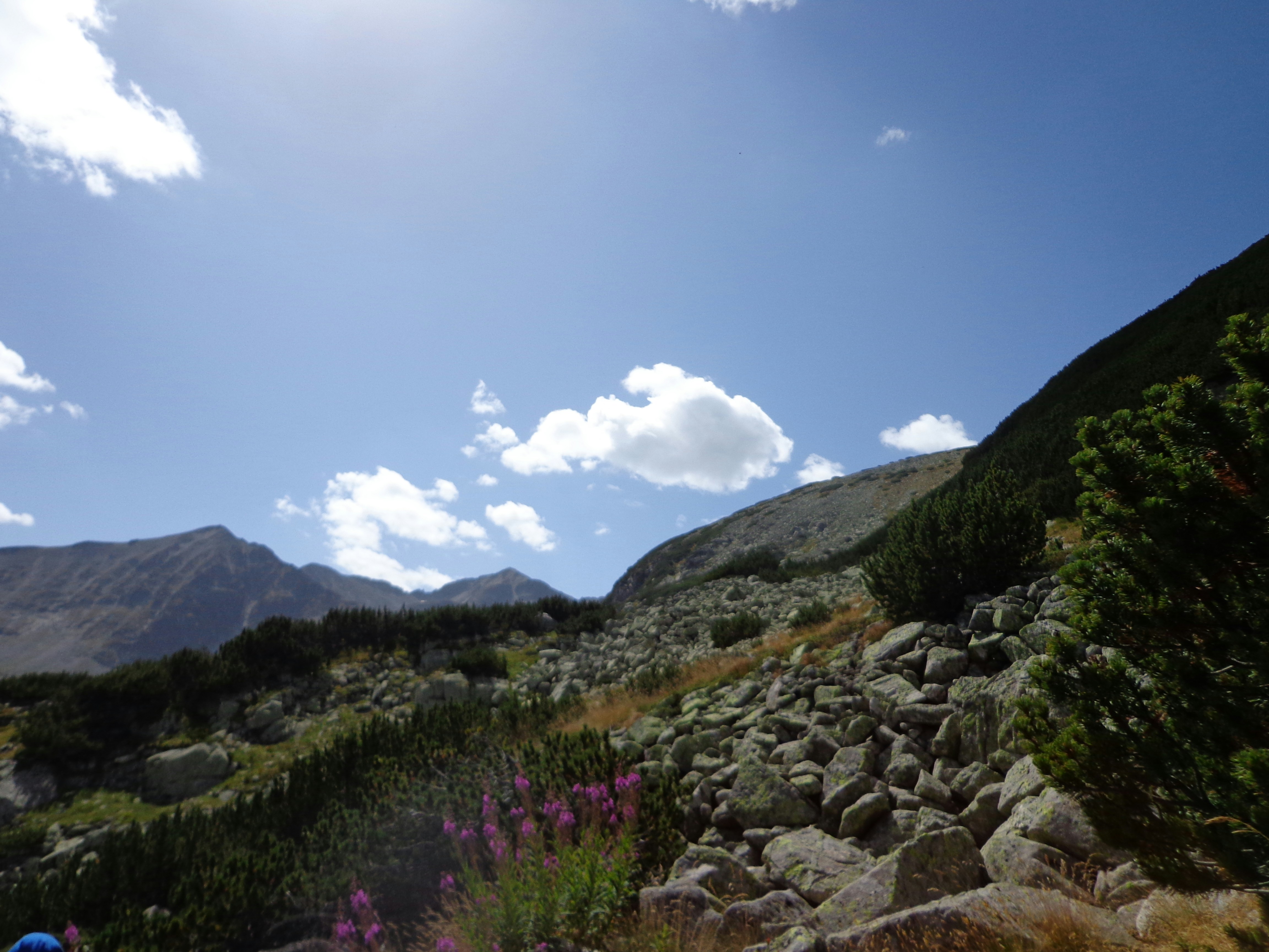 Free Unsplash photo from Web Designer