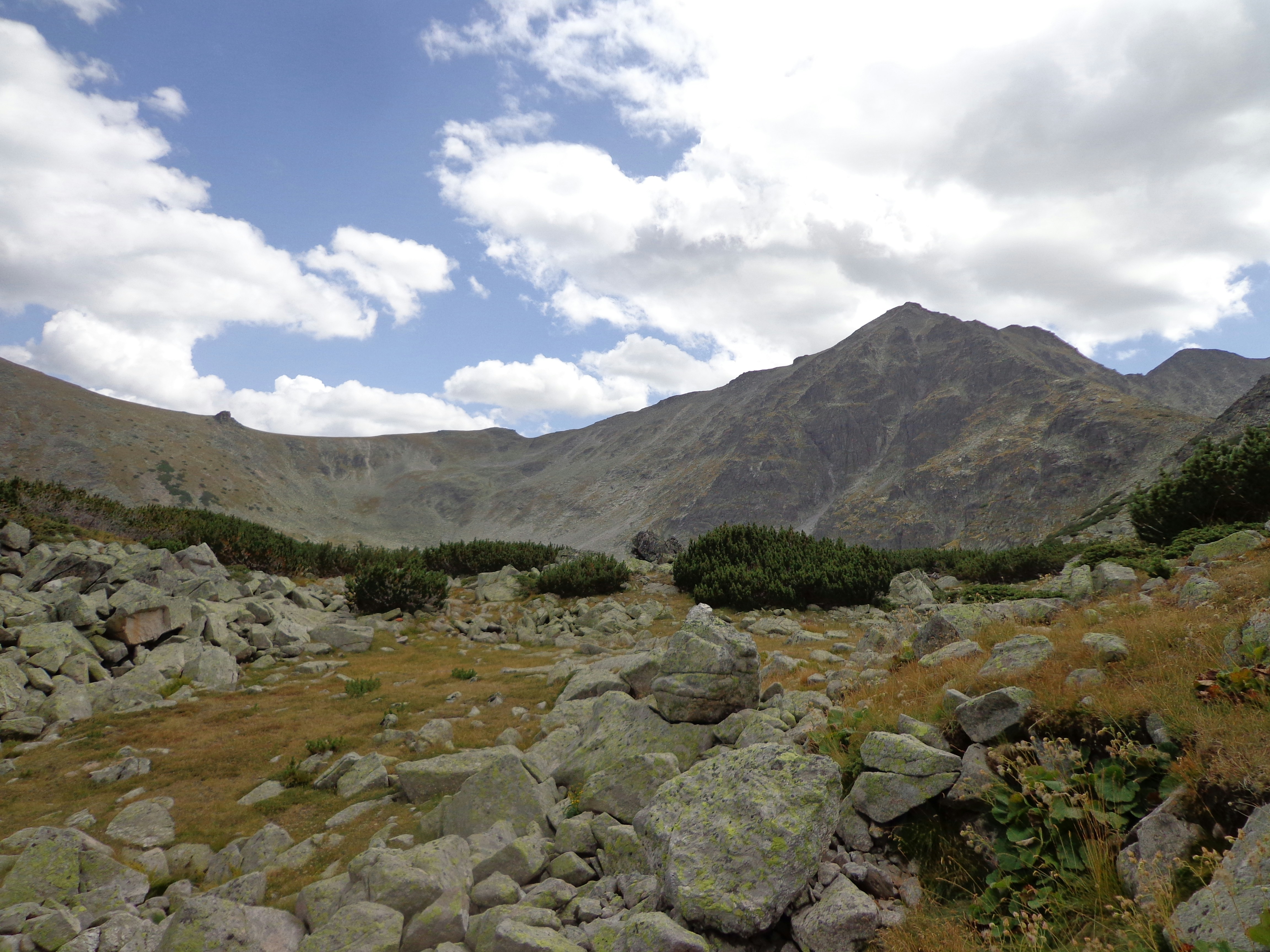 Free Unsplash photo from Web Designer