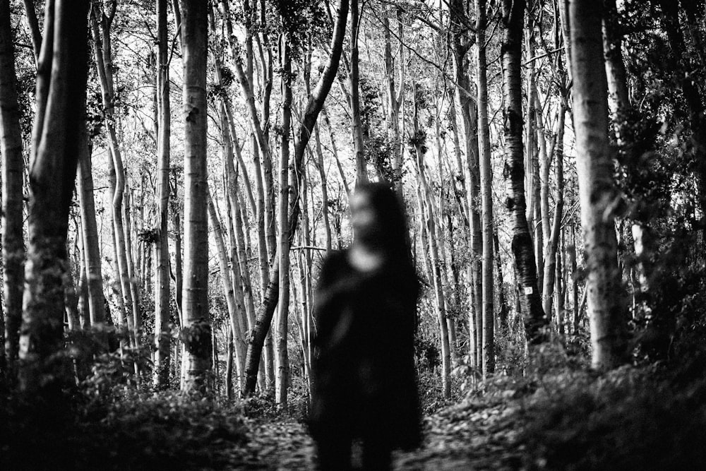 A blurred image of a person standing in the woods.