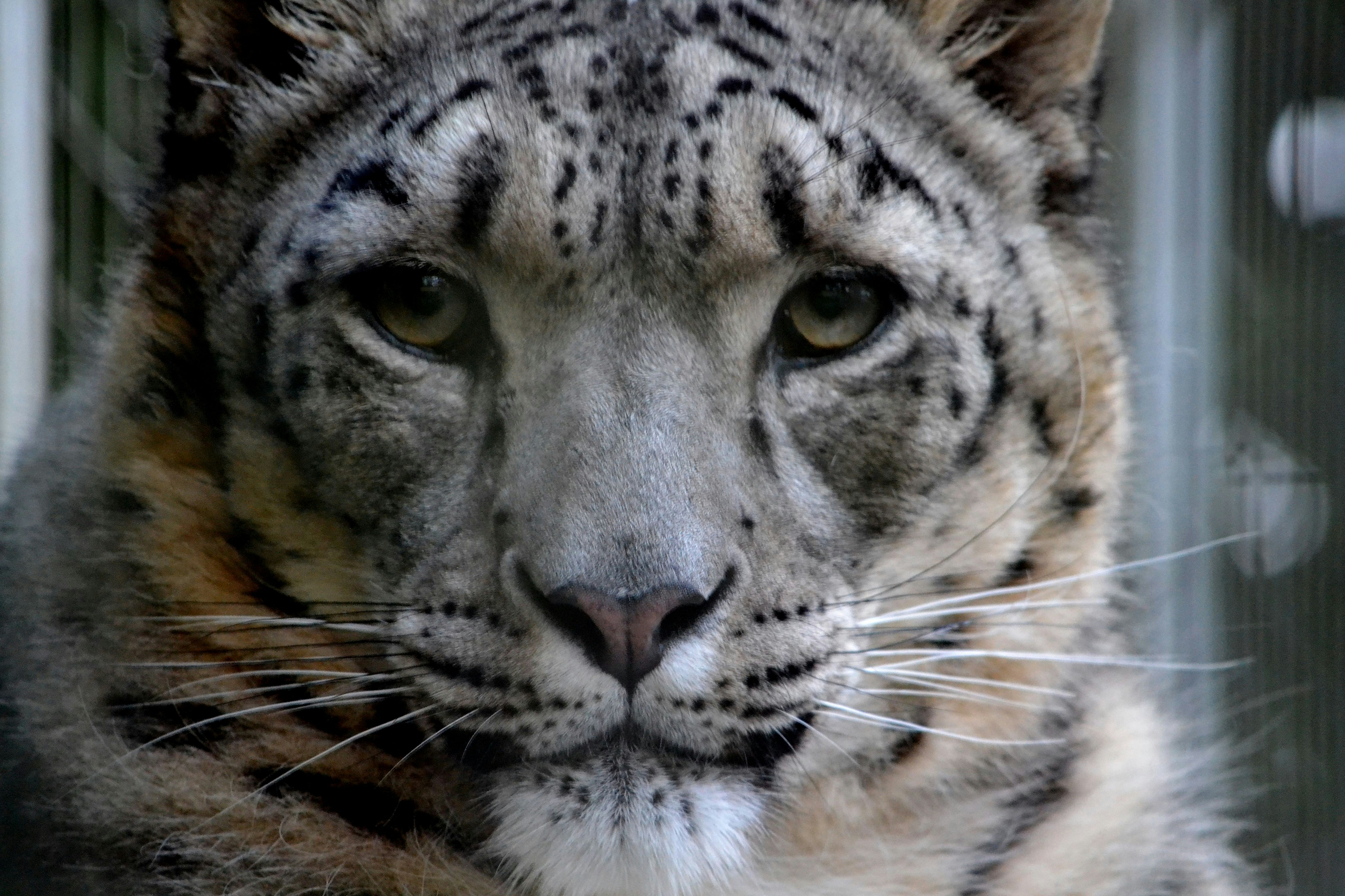 Free Unsplash photo from Adam Lowe