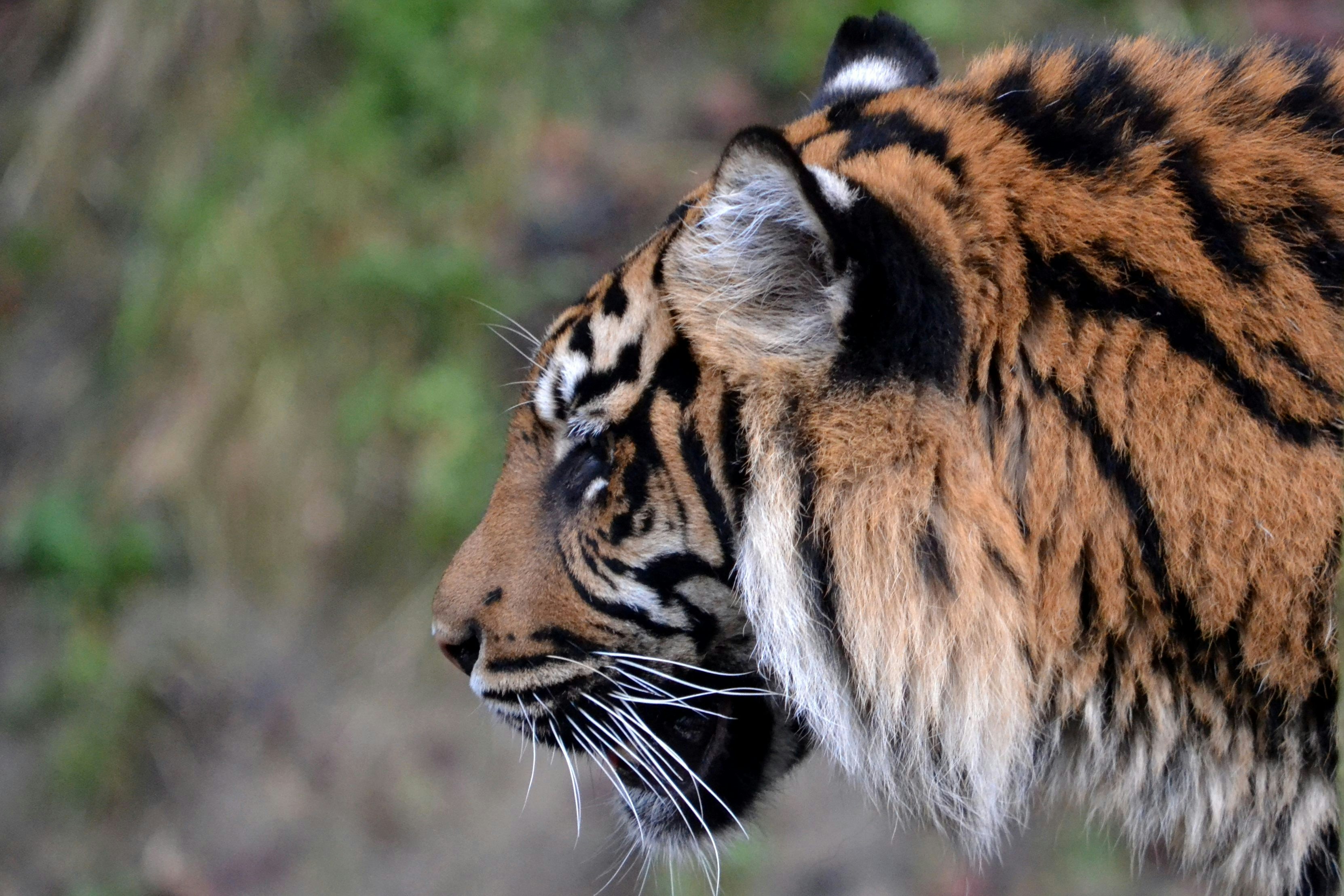 Free Unsplash photo from Adam Lowe