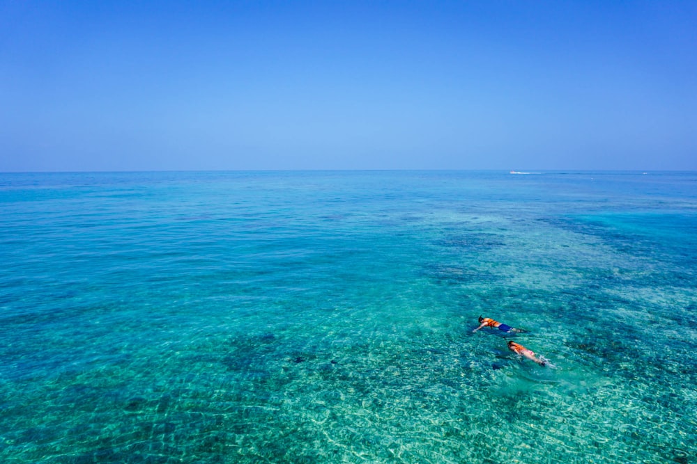 two person swimming on body of water