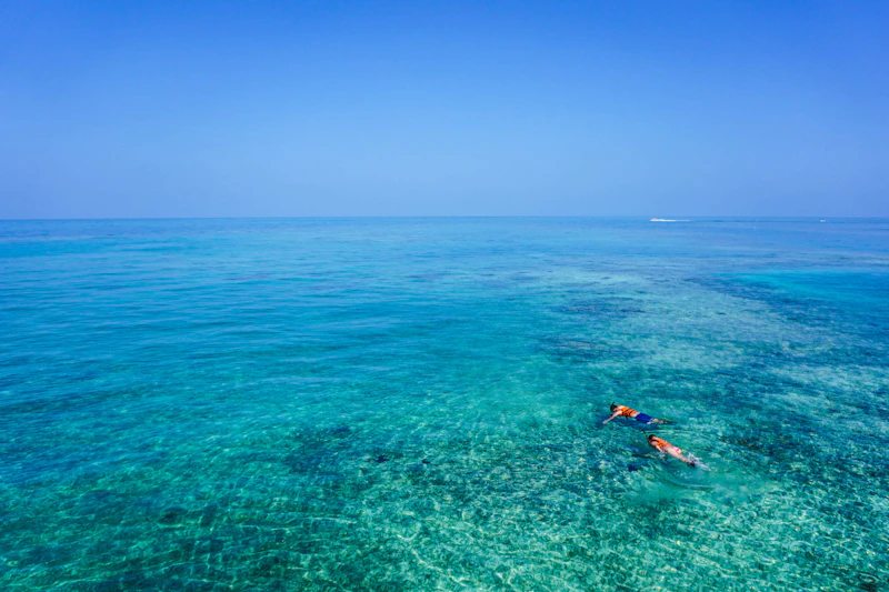 Snorkel em Mangel Halto Aruba com peixes tropicais