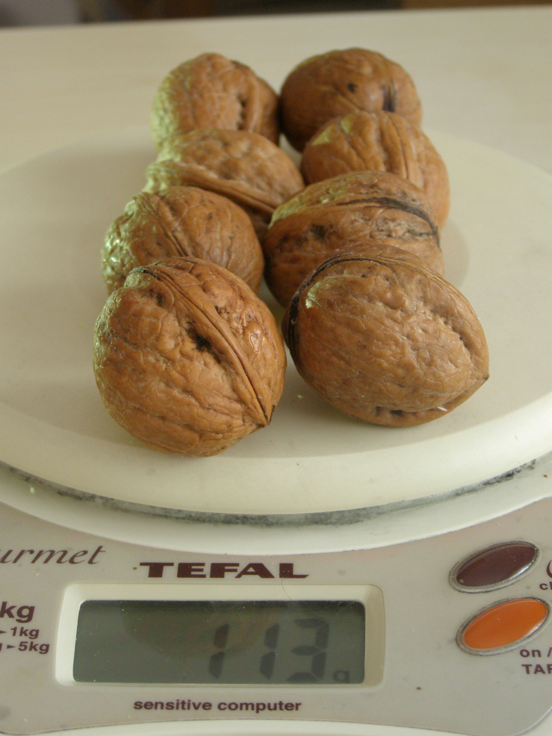 Free Unsplash photo from Bilal Geneci