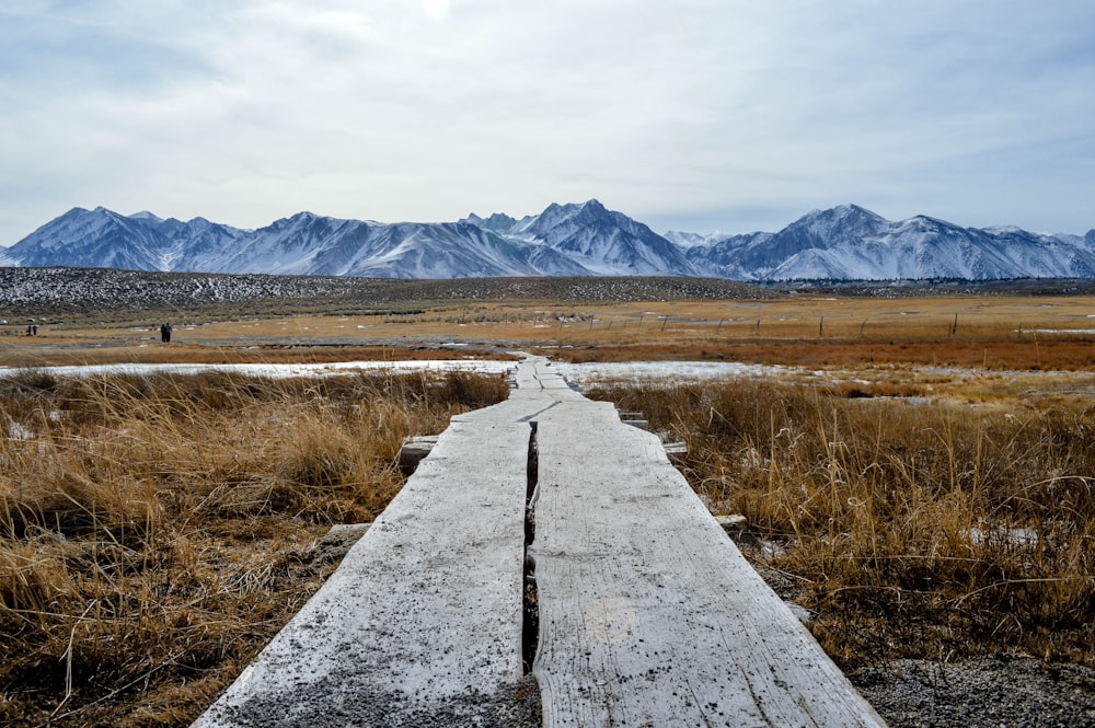 gray wooden bridge