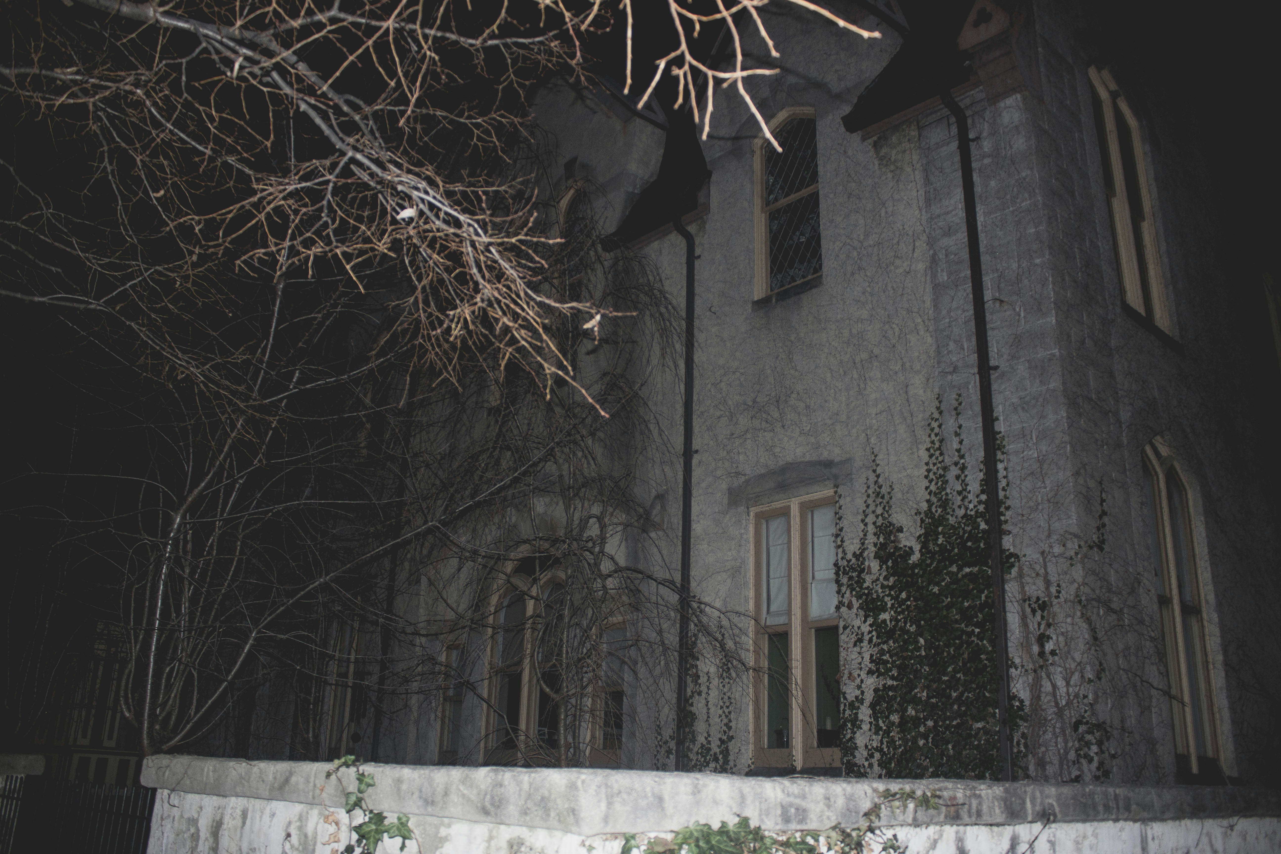 Free Unsplash photo from Trey Penick