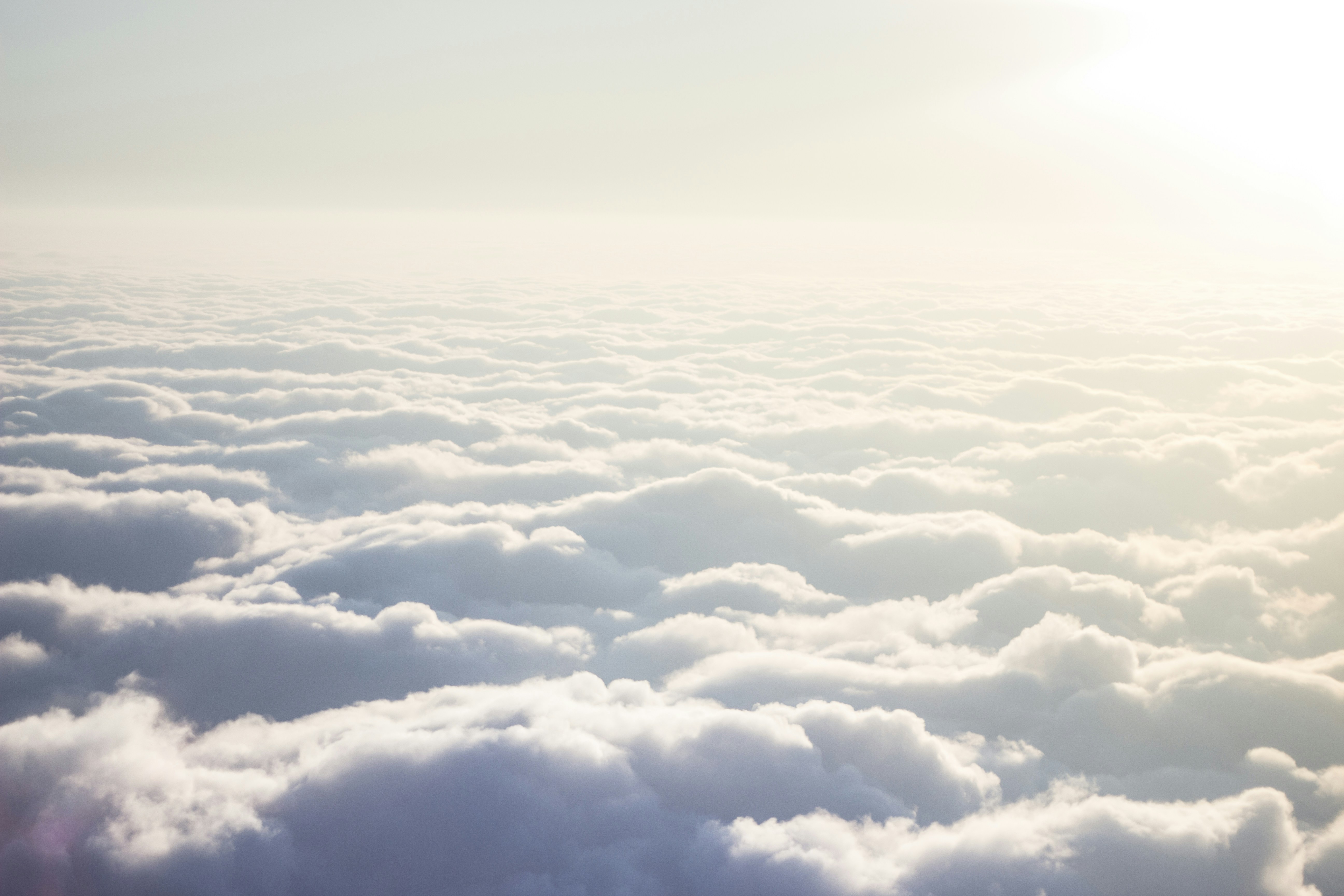 Free Unsplash photo from Alex Jones