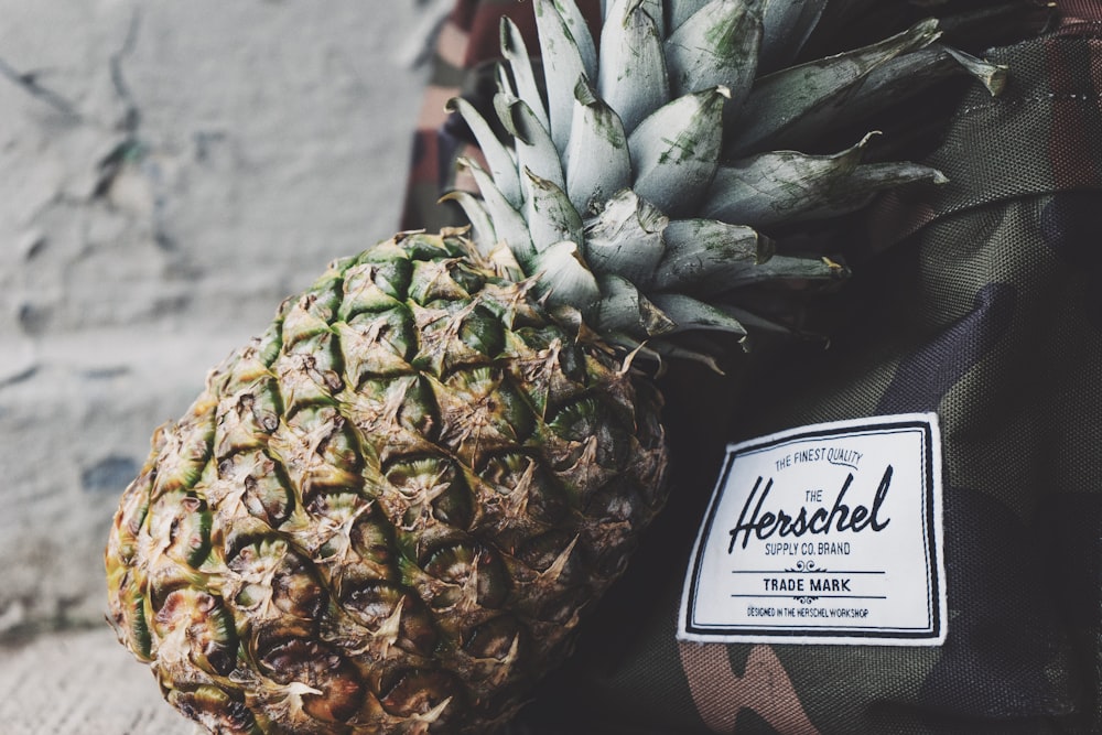 pineapple near Hershcel bag