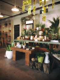 A cozy interior of a plant and pottery shop with wooden tables displaying an array of ceramic pots and lush green plants. The ceiling is adorned with hanging golden decorations, enhancing the warm and stylish decor. Shelves housing additional plants and decorative items line the walls, contributing to the inviting atmosphere.