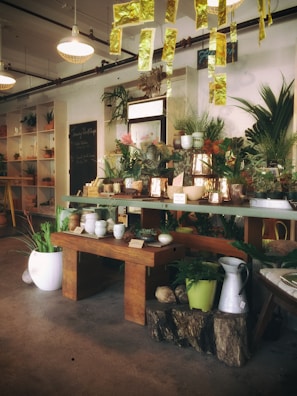 A cozy interior of a plant and pottery shop with wooden tables displaying an array of ceramic pots and lush green plants. The ceiling is adorned with hanging golden decorations, enhancing the warm and stylish decor. Shelves housing additional plants and decorative items line the walls, contributing to the inviting atmosphere.
