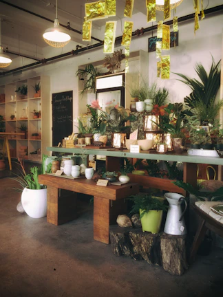A cozy corner of the crafting center filled with terracotta pots, succulent plants, and handmade ceramic pieces.