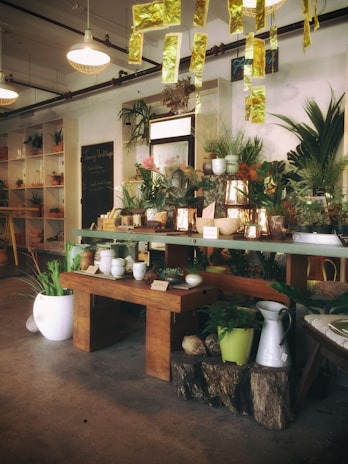 A cozy interior of a plant and pottery shop with wooden tables displaying an array of ceramic pots and lush green plants. The ceiling is adorned with hanging golden decorations, enhancing the warm and stylish decor. Shelves housing additional plants and decorative items line the walls, contributing to the inviting atmosphere.