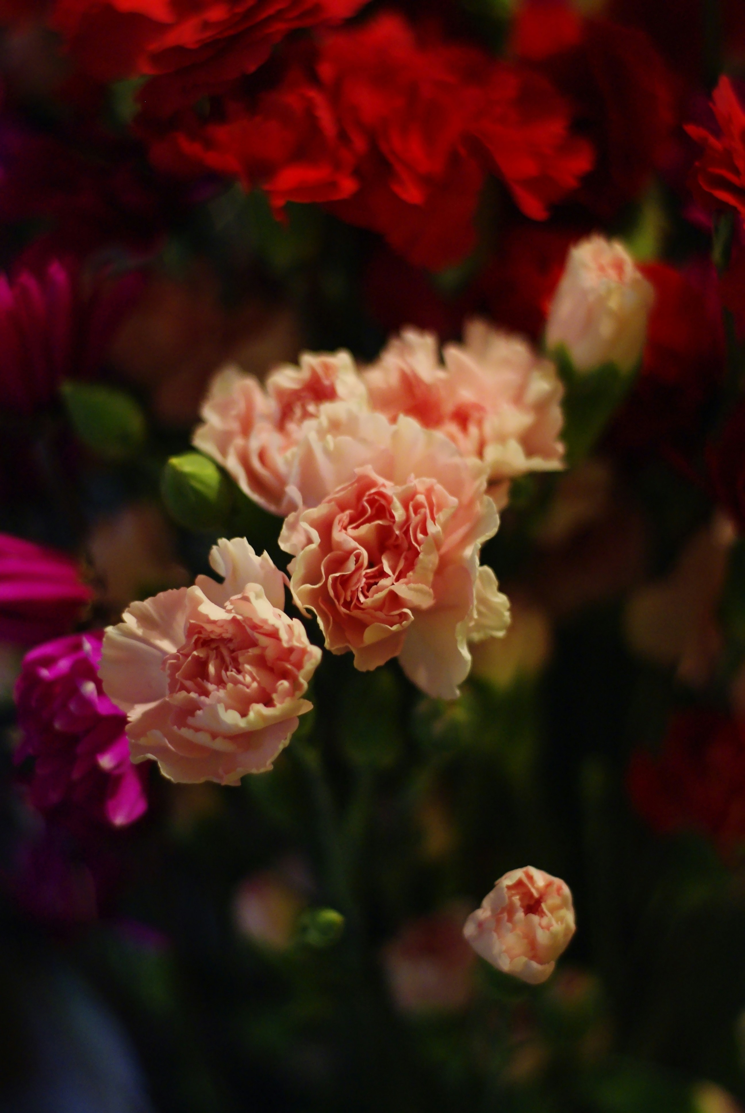 Free Unsplash photo from John McKnight