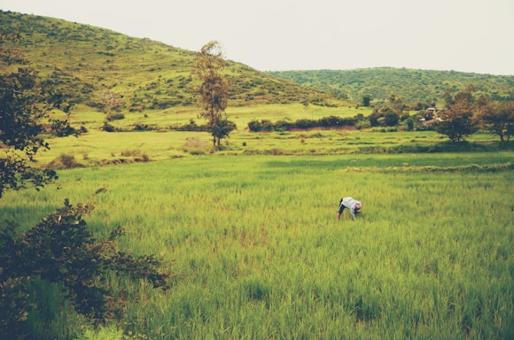 A friendly customer service representative answering calls with a backdrop of lush green grass rolls.