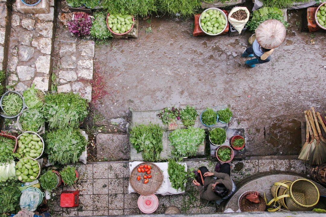 A drone view of a vegetable market in Sa Pa