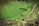 Lush green terraced rice fields stretch across a hilly landscape. A group of people walk along a narrow dirt path that winds through the fields. The area is surrounded by dense vegetation, including corn plants.