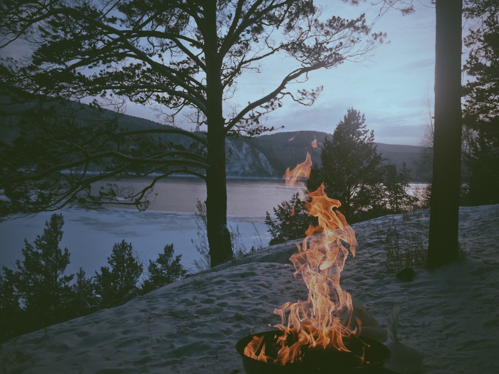 fogueira perto de corpo d'água e árvores