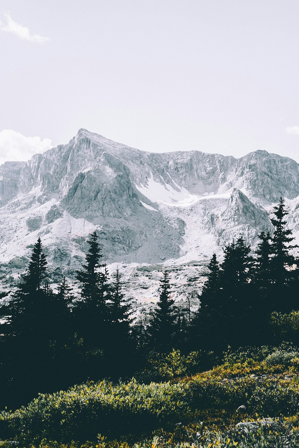 snowy mountain near green pine trees under cloudy sky