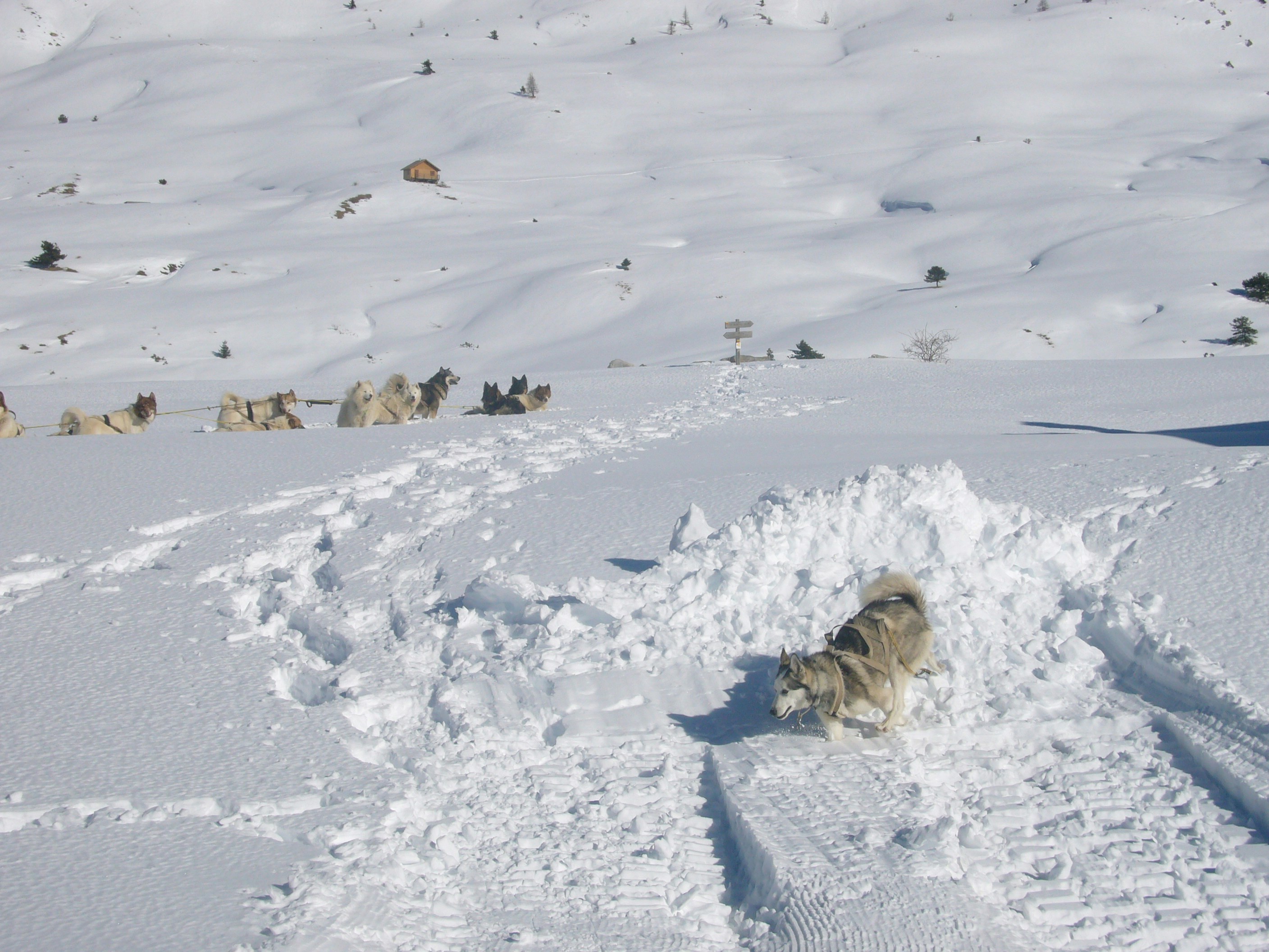 Free Unsplash photo from Nathalie Cent