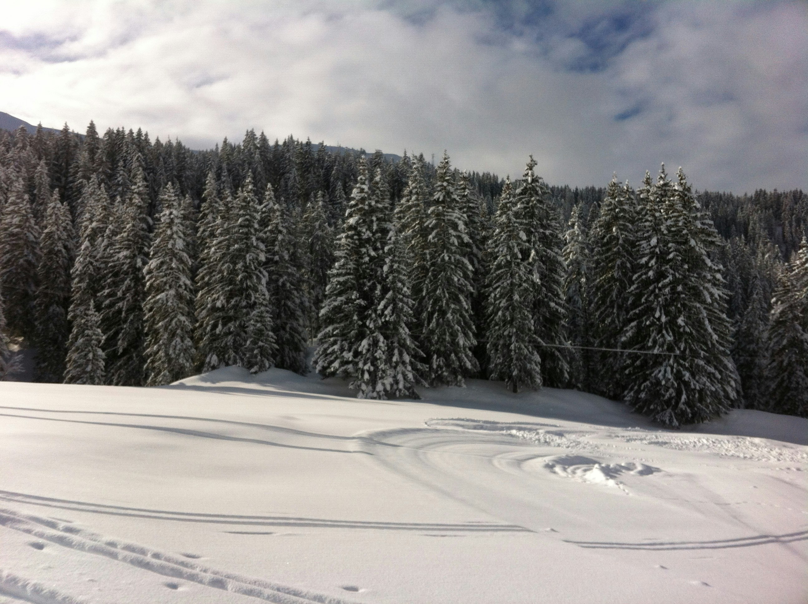 Free Unsplash photo from Nathalie Cent