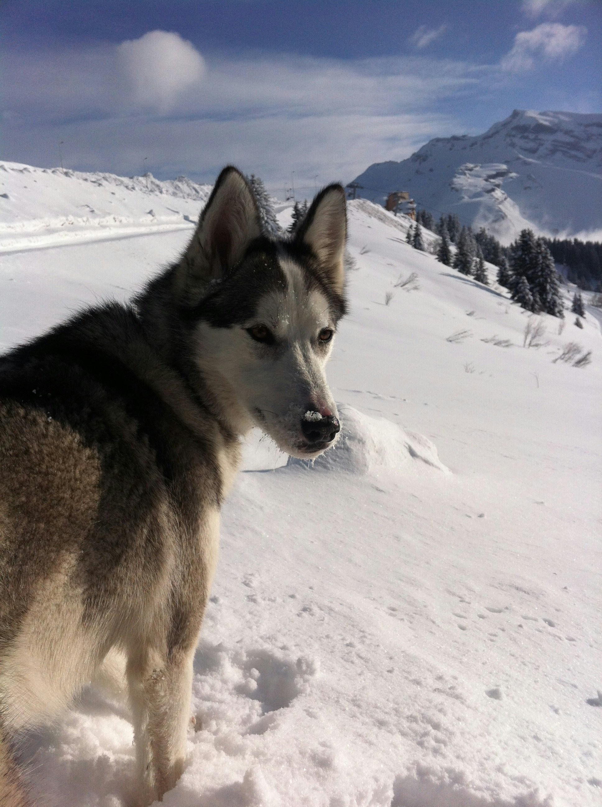 Free Unsplash photo from Nathalie Cent