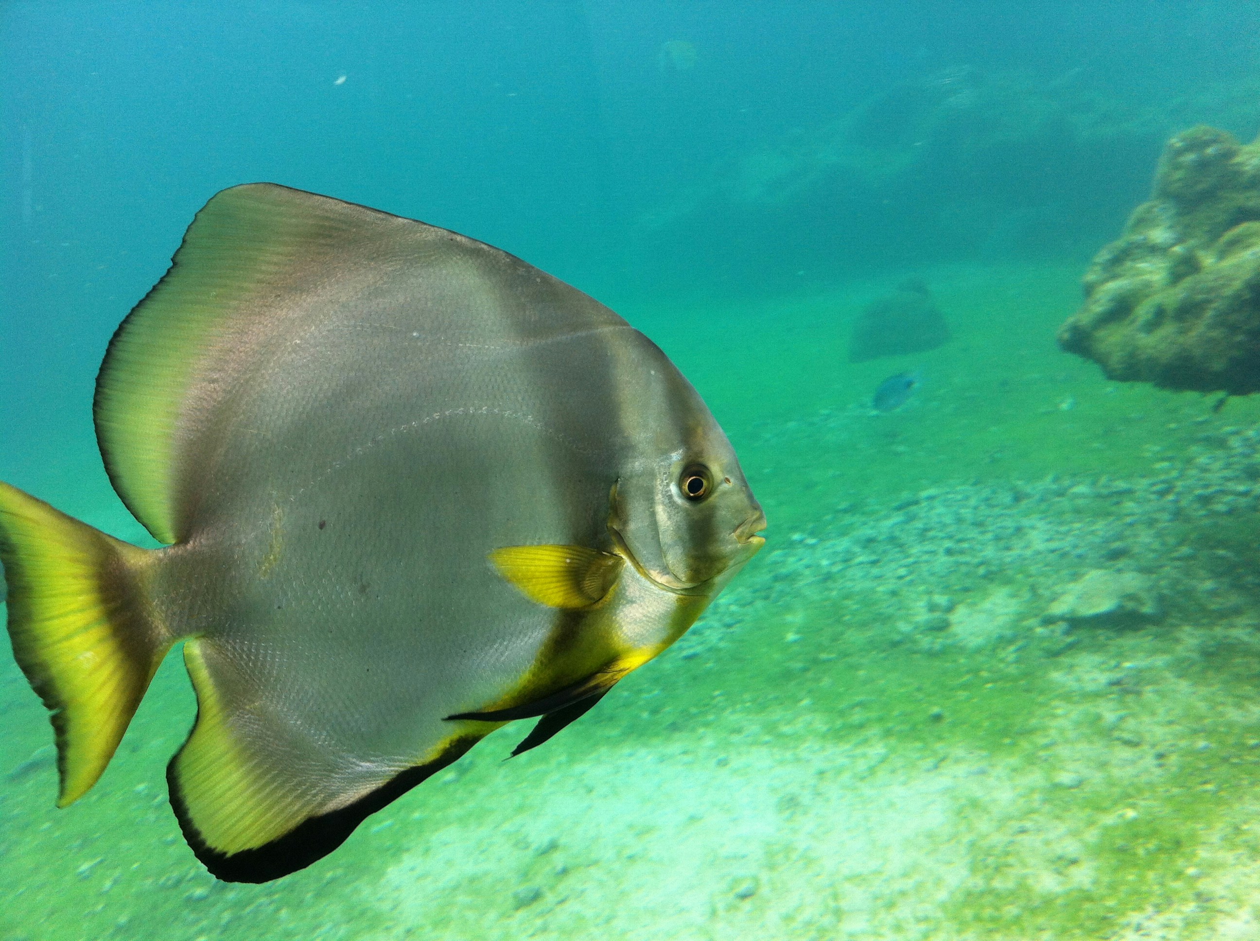 Free Unsplash photo from Nathalie Cent