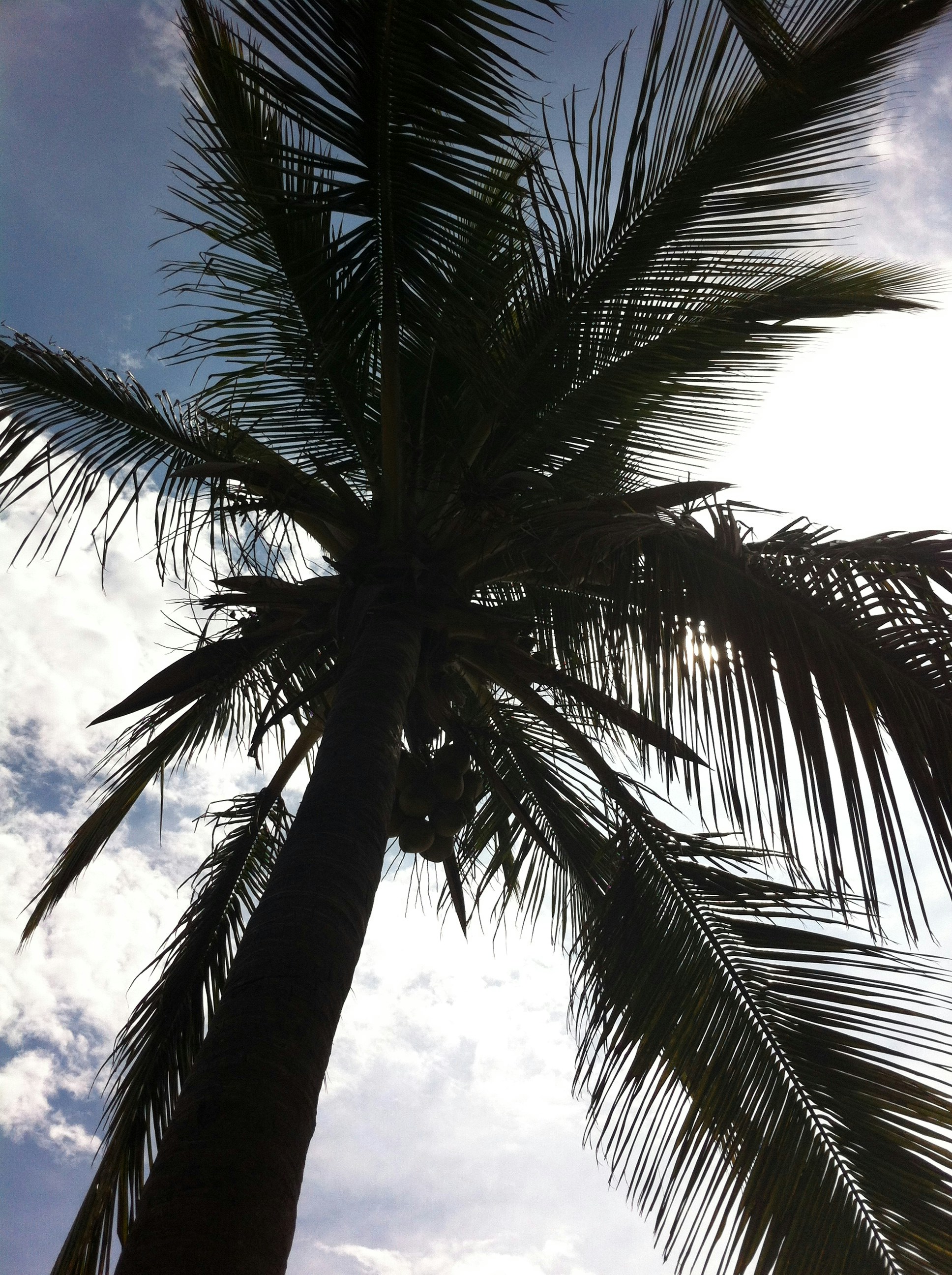 Free Unsplash photo from Nathalie Cent