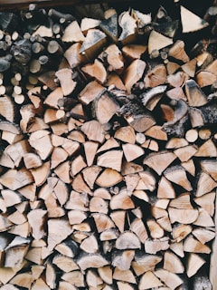 pile of firewood