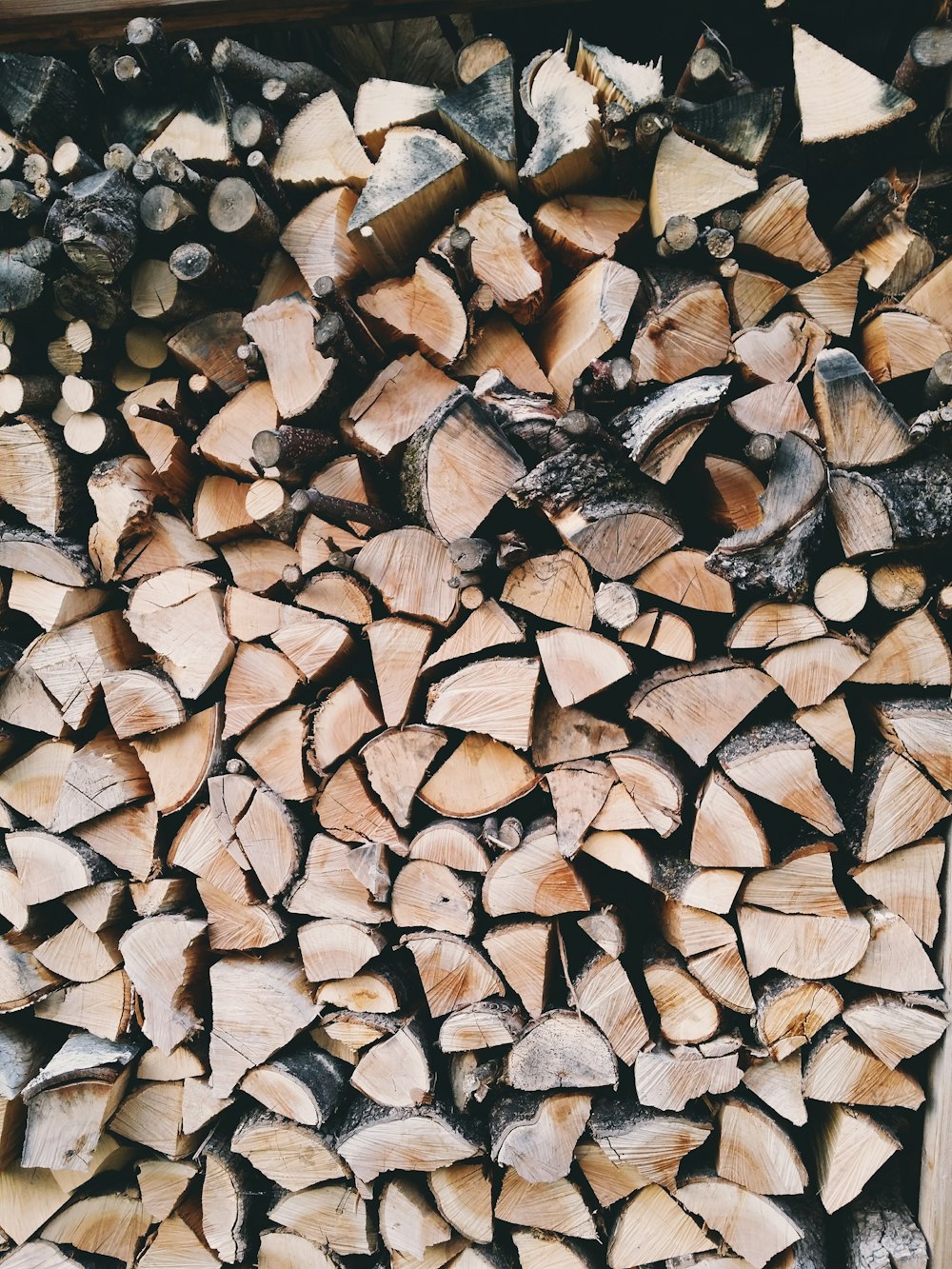 pile of firewood