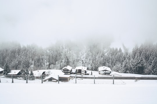 photo of Finkenberg Natural landscape near Brandenberg Alps