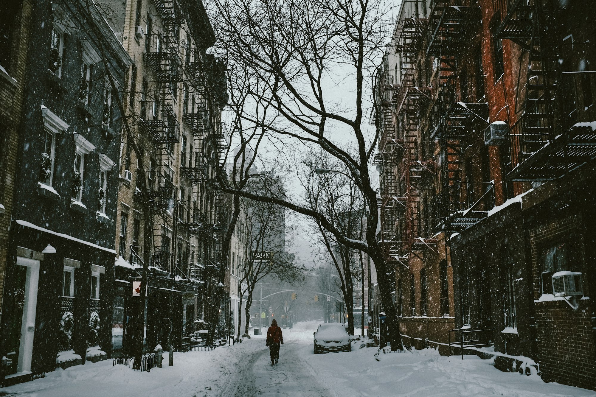 person walking between buildings near withered tree