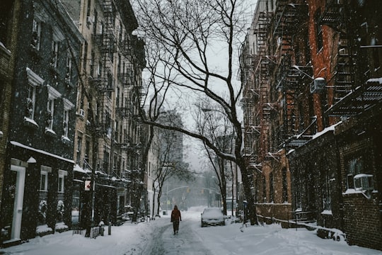 person walking between buildings near withered tree in West Village United States