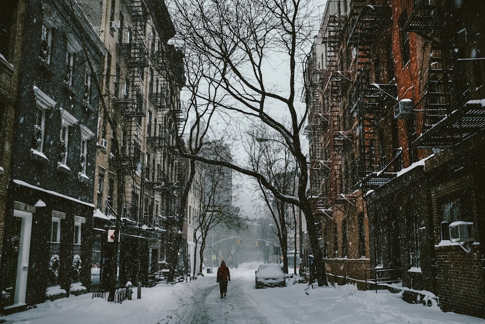 person walking between buildings near withered tree