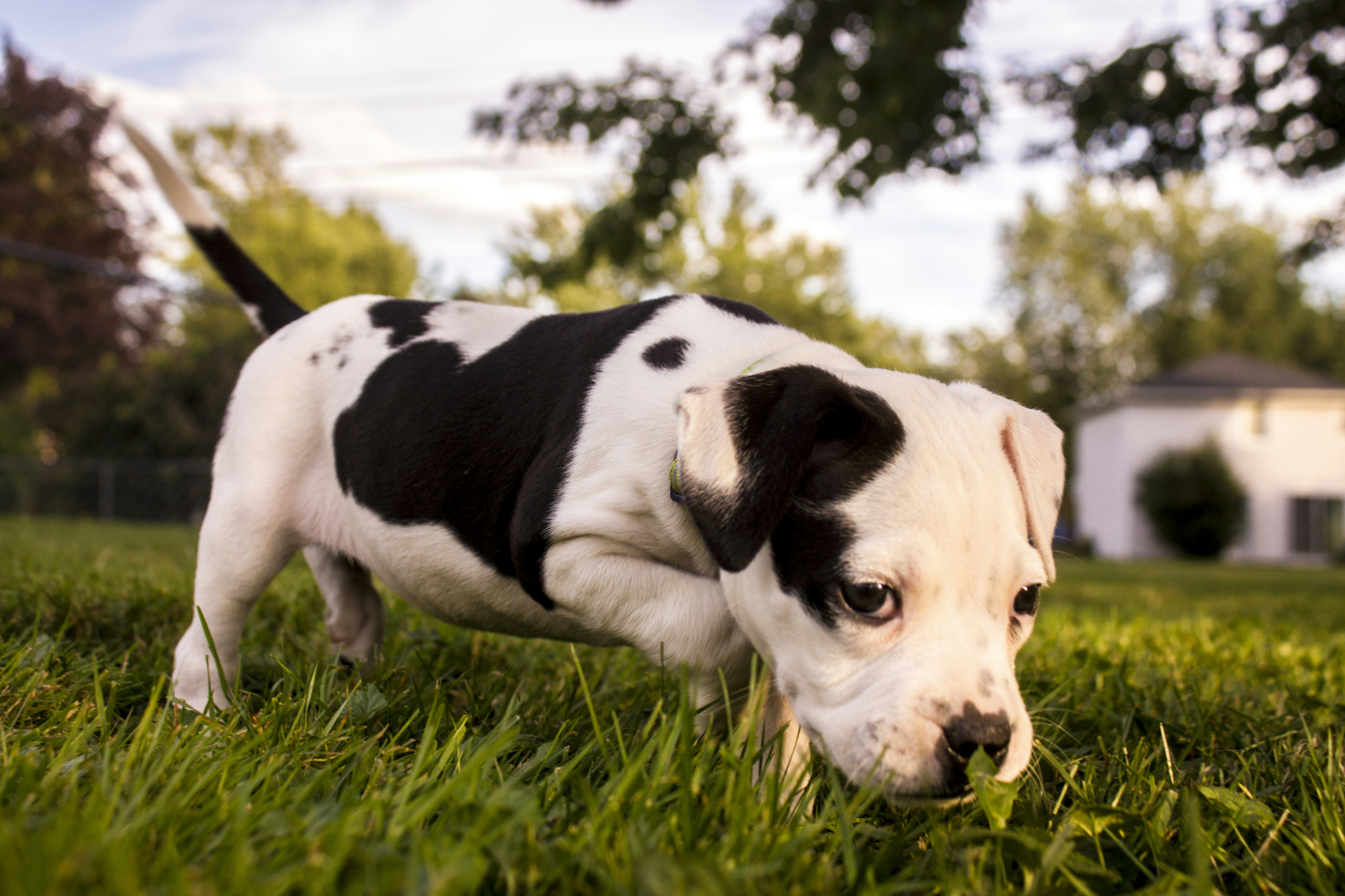 Free Unsplash photo from Ben Cometa