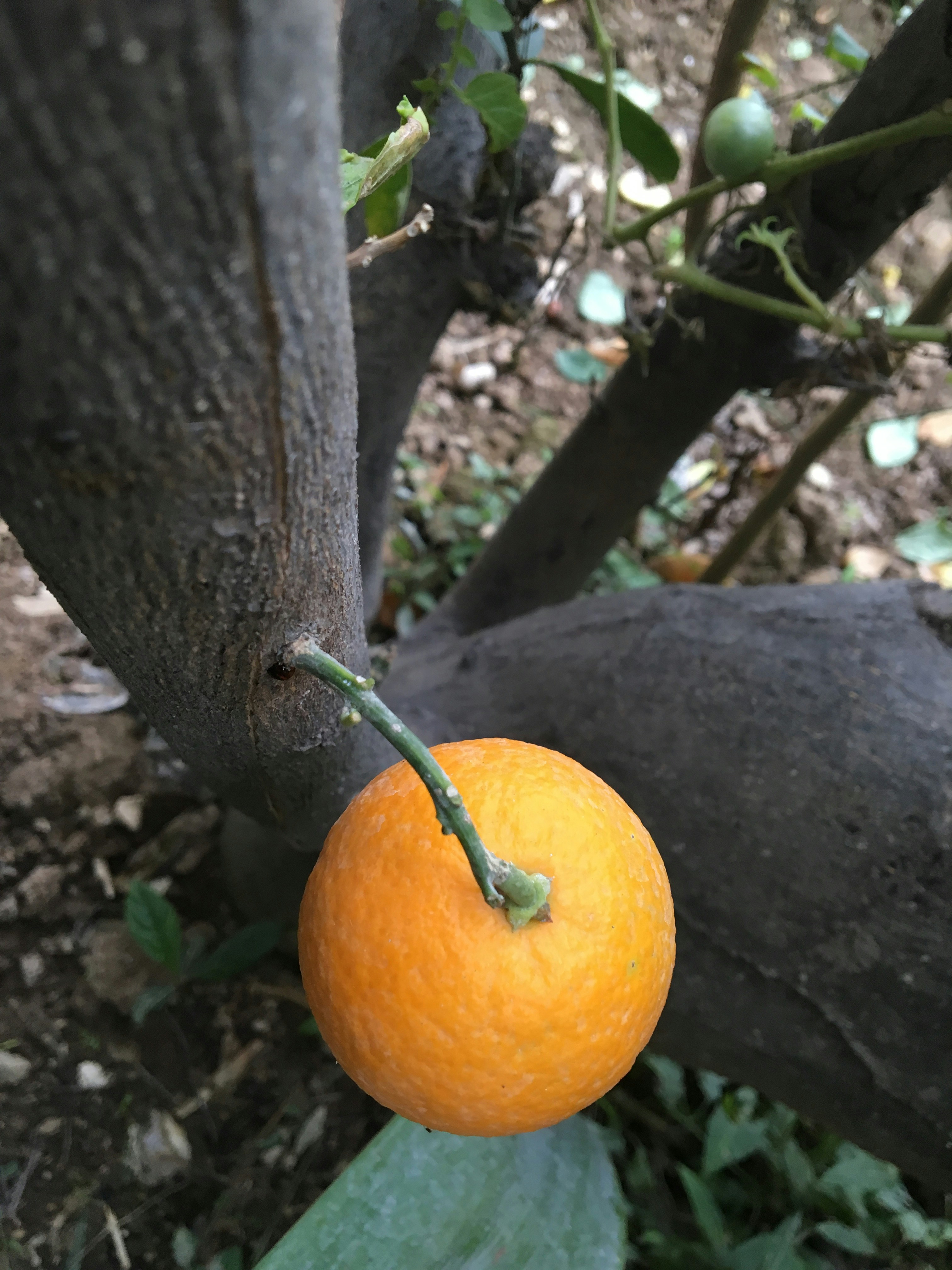 Free Unsplash photo from Ali Taheri