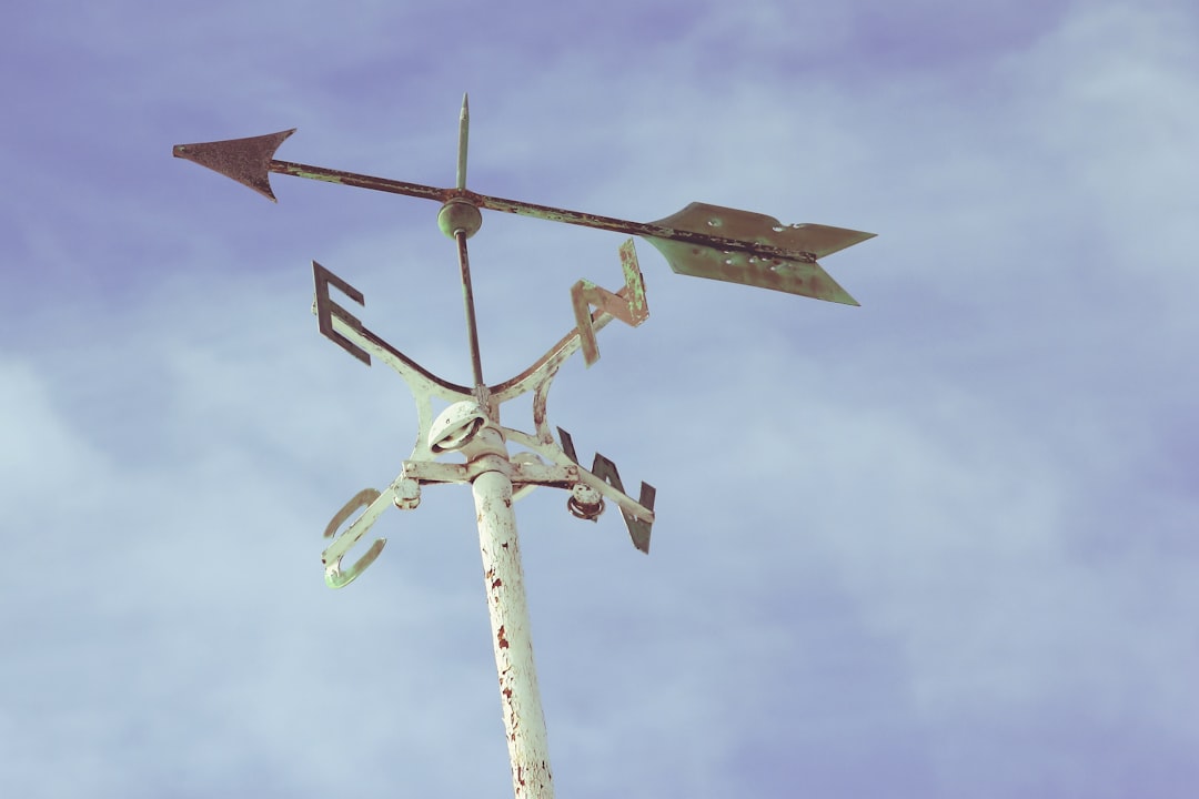 The Name Change Explained:Breezin' Through the Skies: Why David Nee… — The Name Change Explained