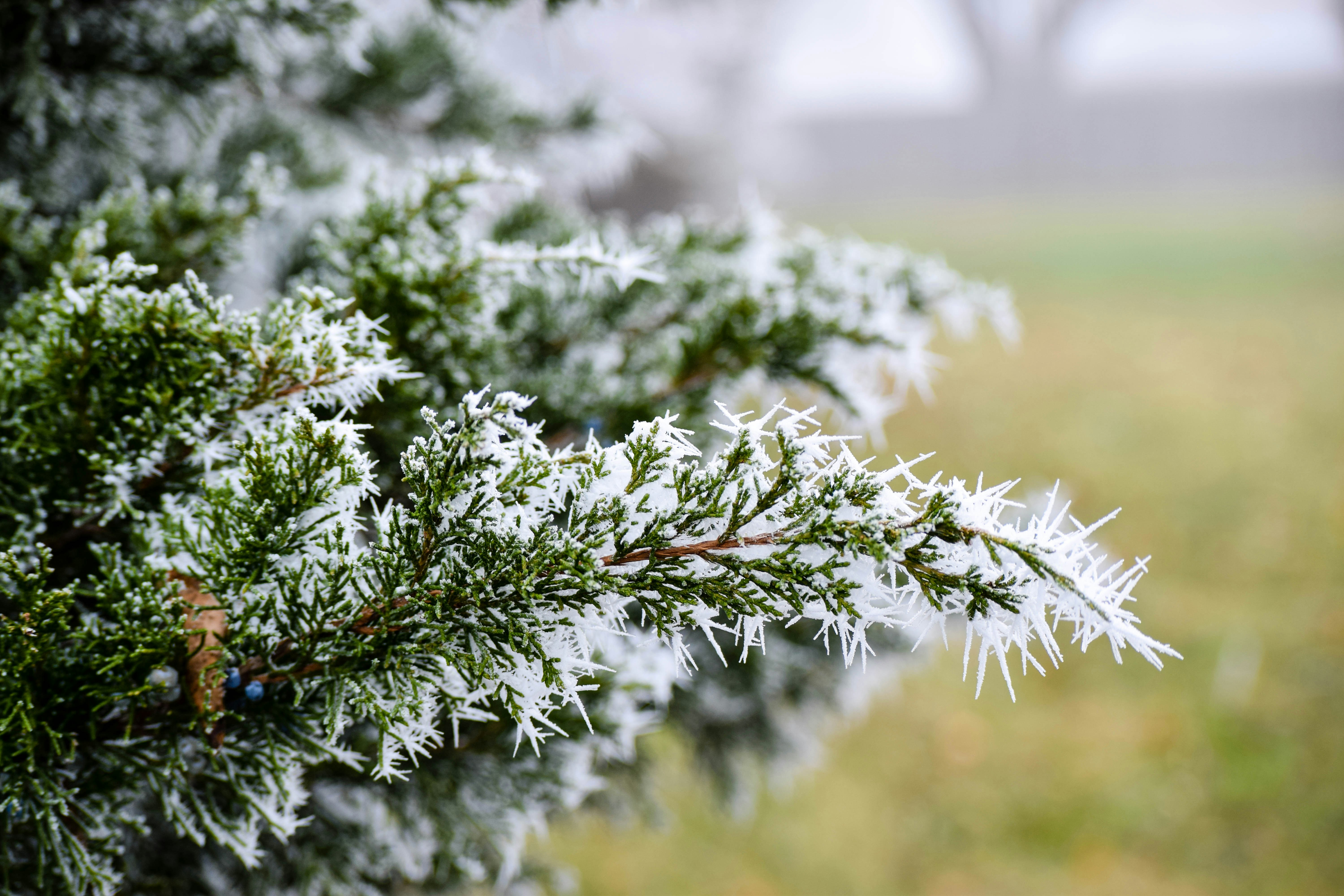 Free Unsplash photo from Aubrey Casazza