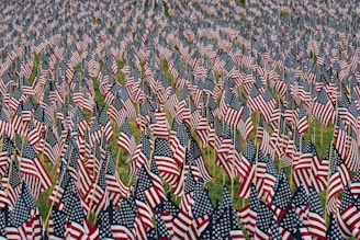 US flag lot