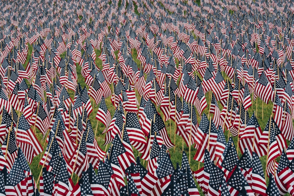 Lot drapeau américain