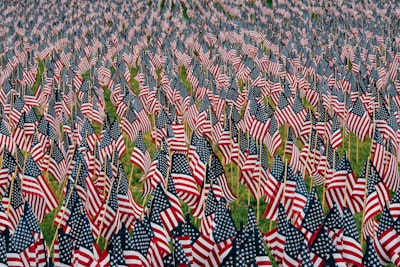 us flag lot stars and stripe google meet background