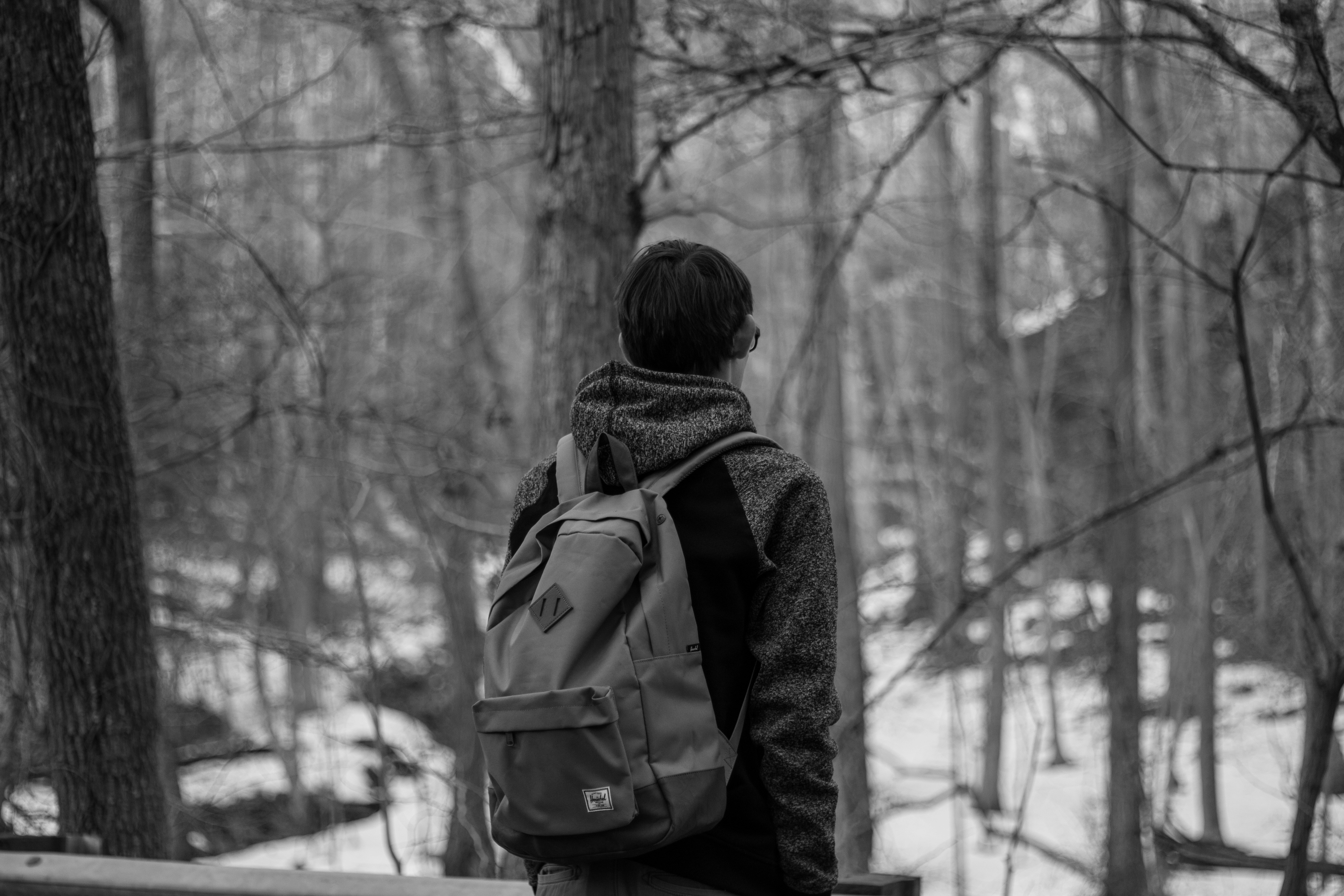 Free Unsplash photo from Stephen Smith