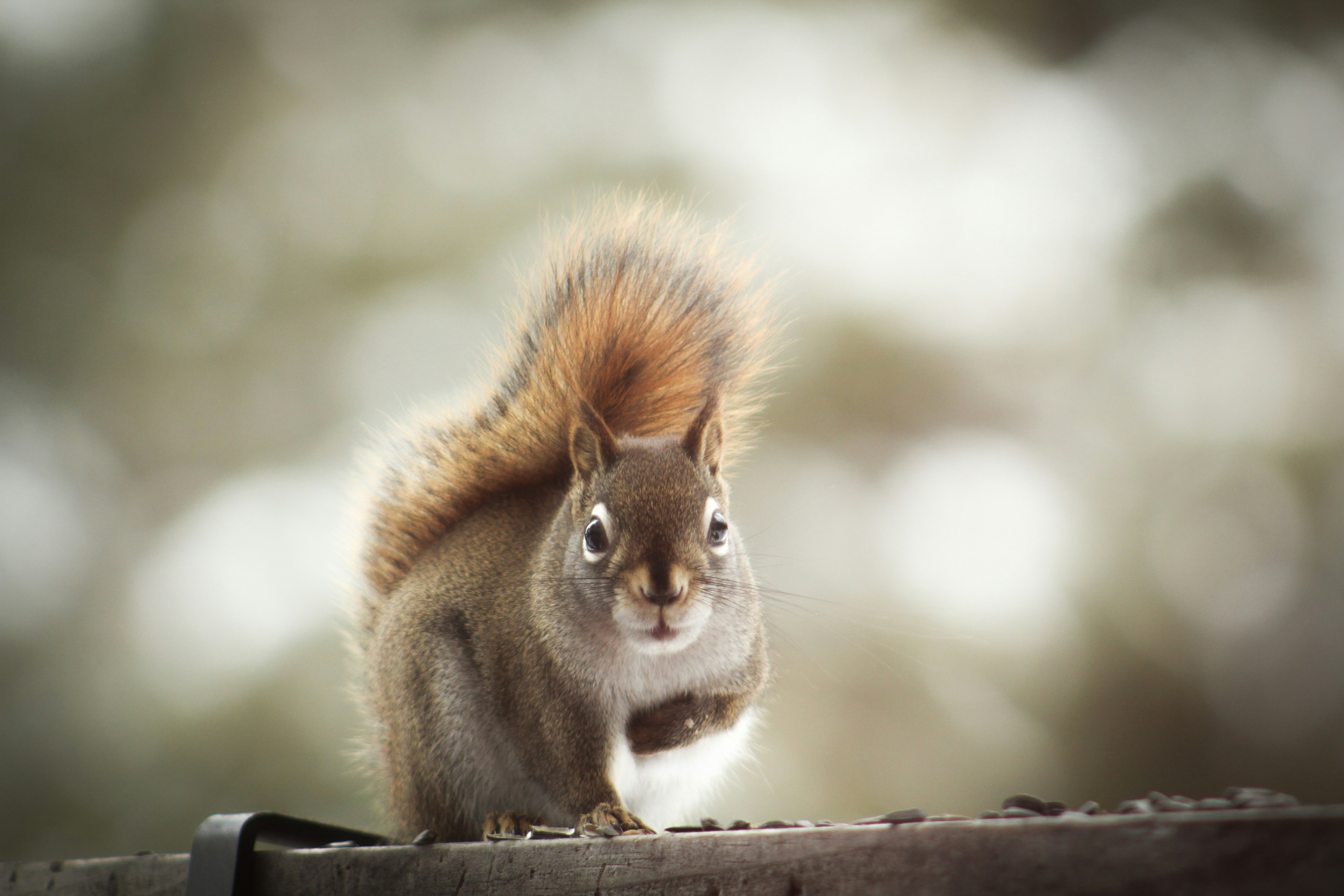 Free Unsplash photo from stephanie smith