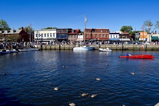 A busy waterfront scene with a vibrant blue sky and several boats in the water. A red kayak with a person dressed in blue is prominently visible. Along the shoreline, there are historic brick and white buildings with signs, surrounded by a bustling crowd. Ducks are swimming in the foreground.