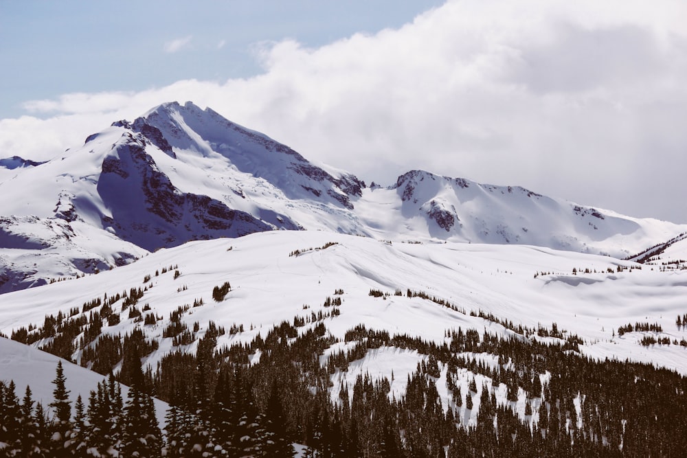 top view of alps mountain