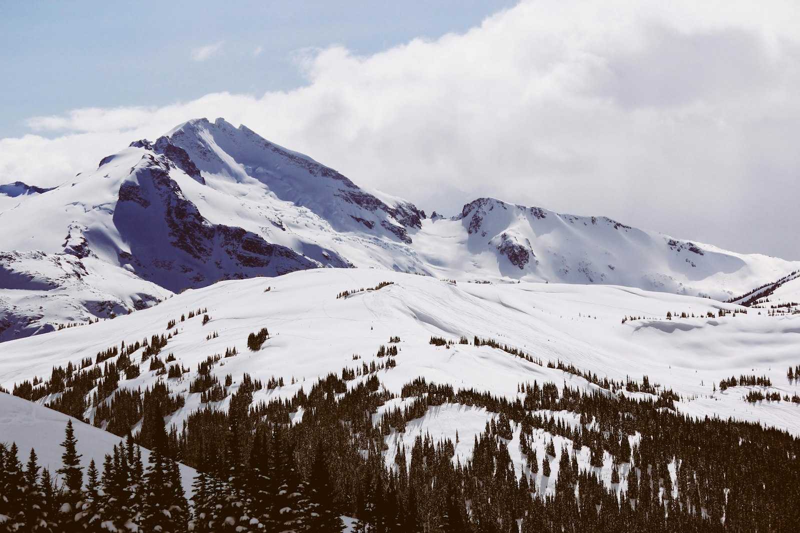 Canon EOS 550D (EOS Rebel T2i / EOS Kiss X4) sample photo. Top view of alps photography