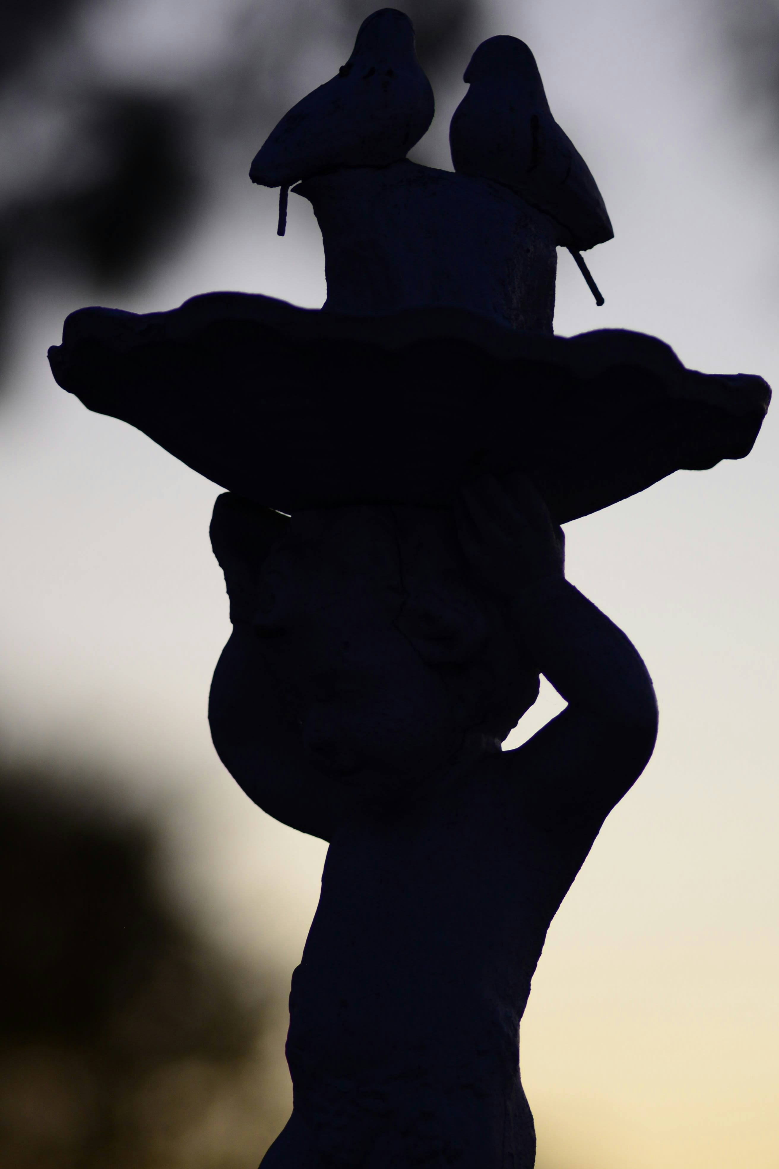 Free Unsplash photo from alexandra stratan