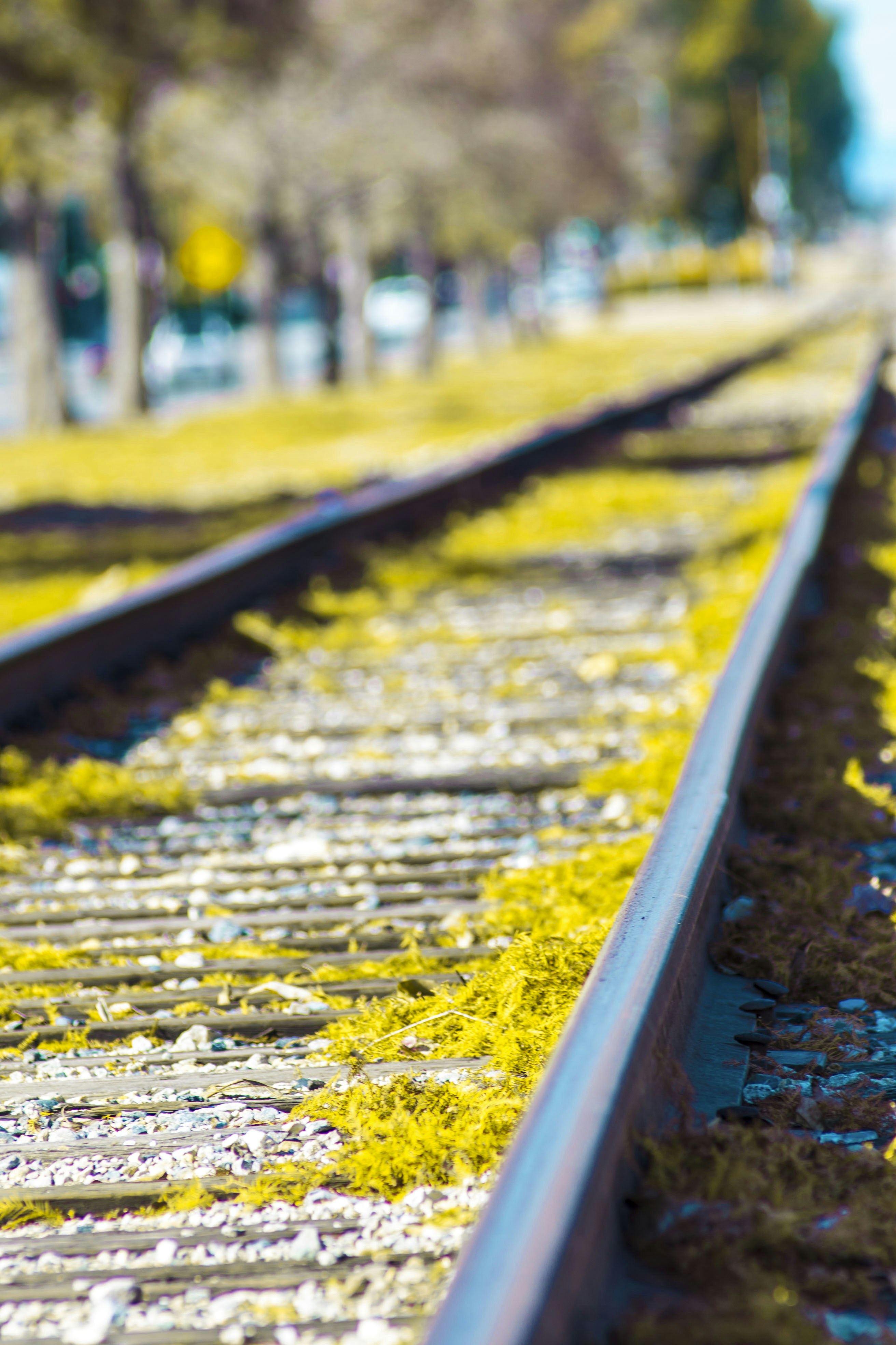 Free Unsplash photo from alexandra stratan