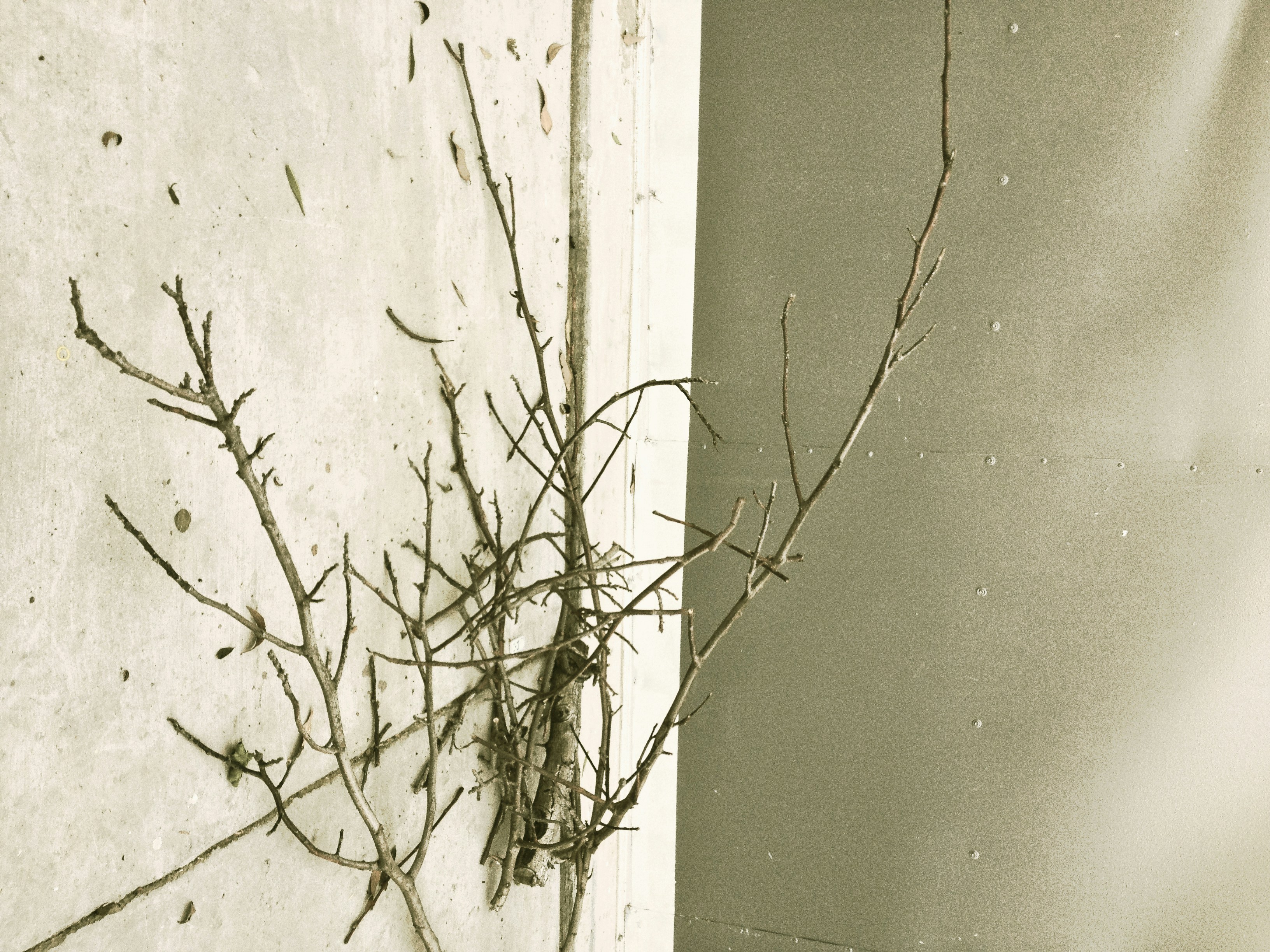 Free Unsplash photo from alexandra stratan