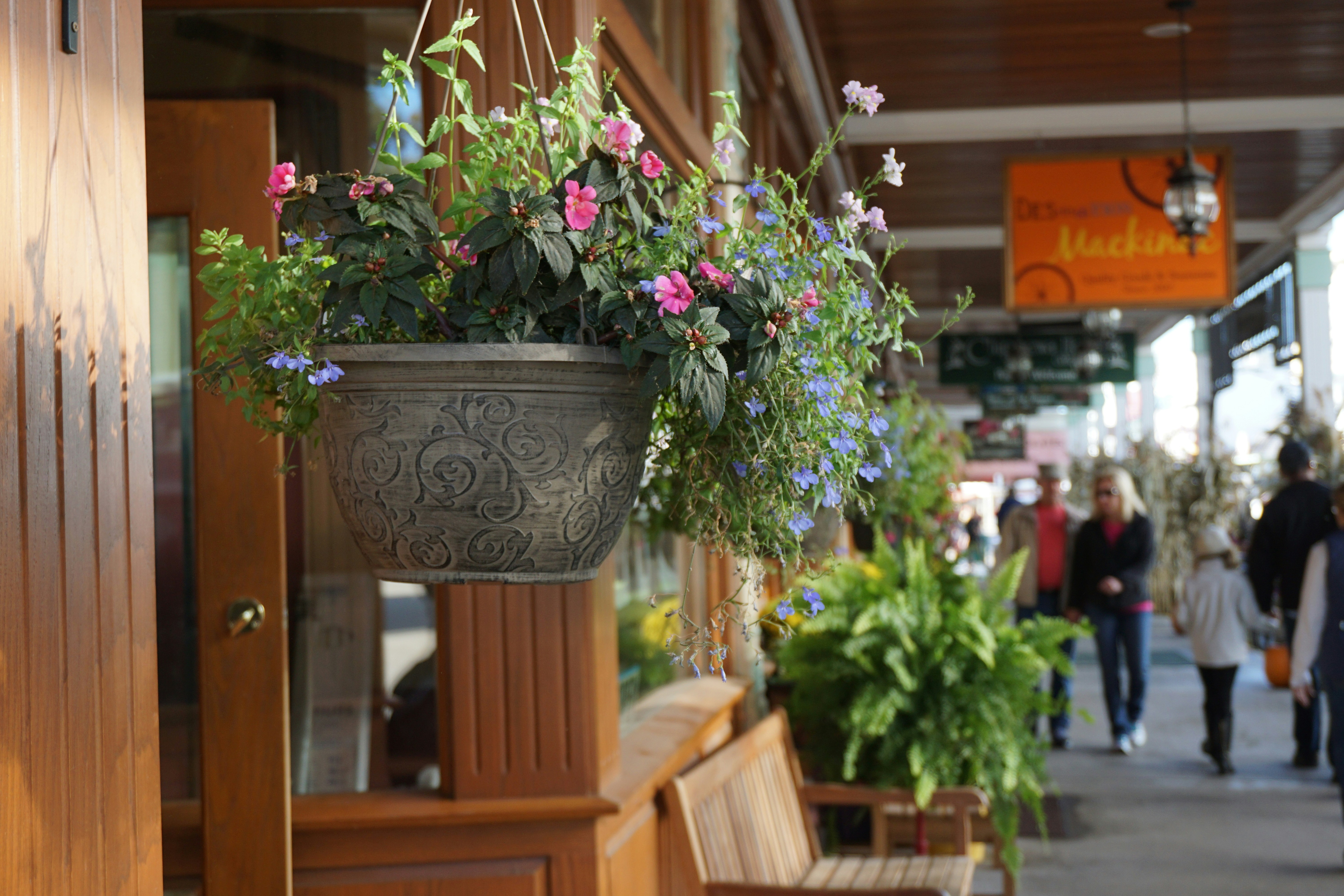 Free Unsplash photo from Shuo Han