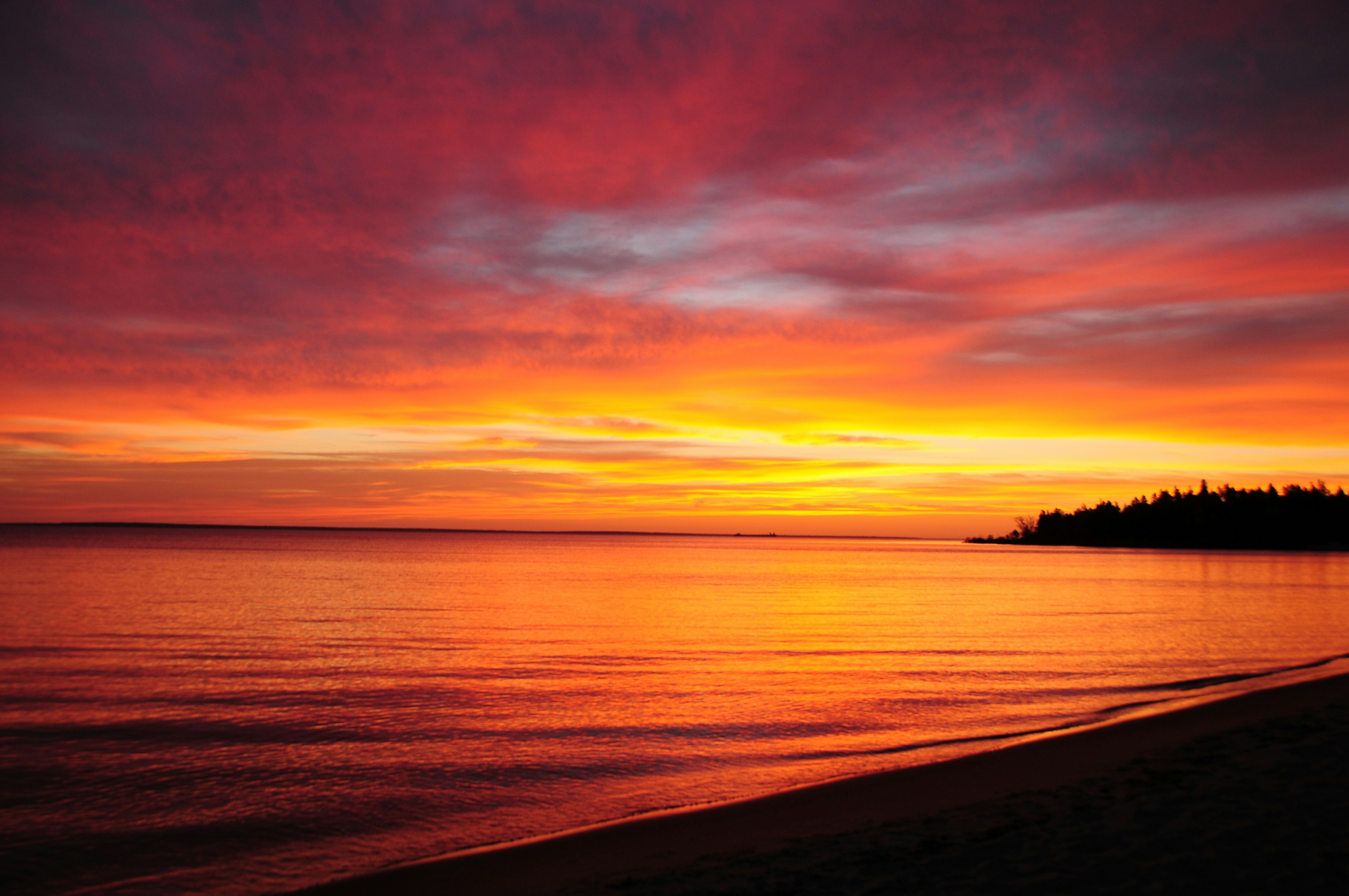 Free Unsplash photo from Shuo Han